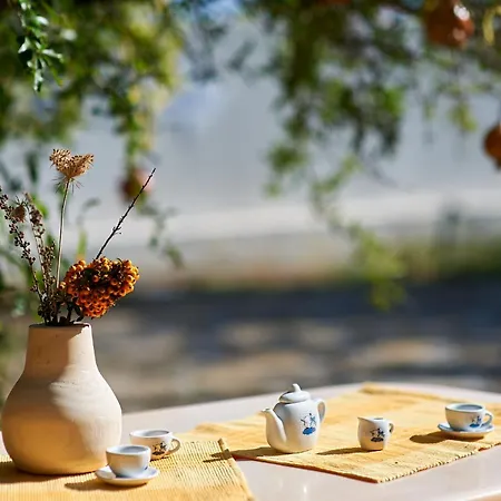 Hotel Dima Sozopol